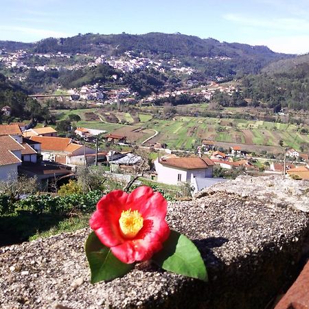 Casinha Da Sobreira Villa Penacova Eksteriør billede