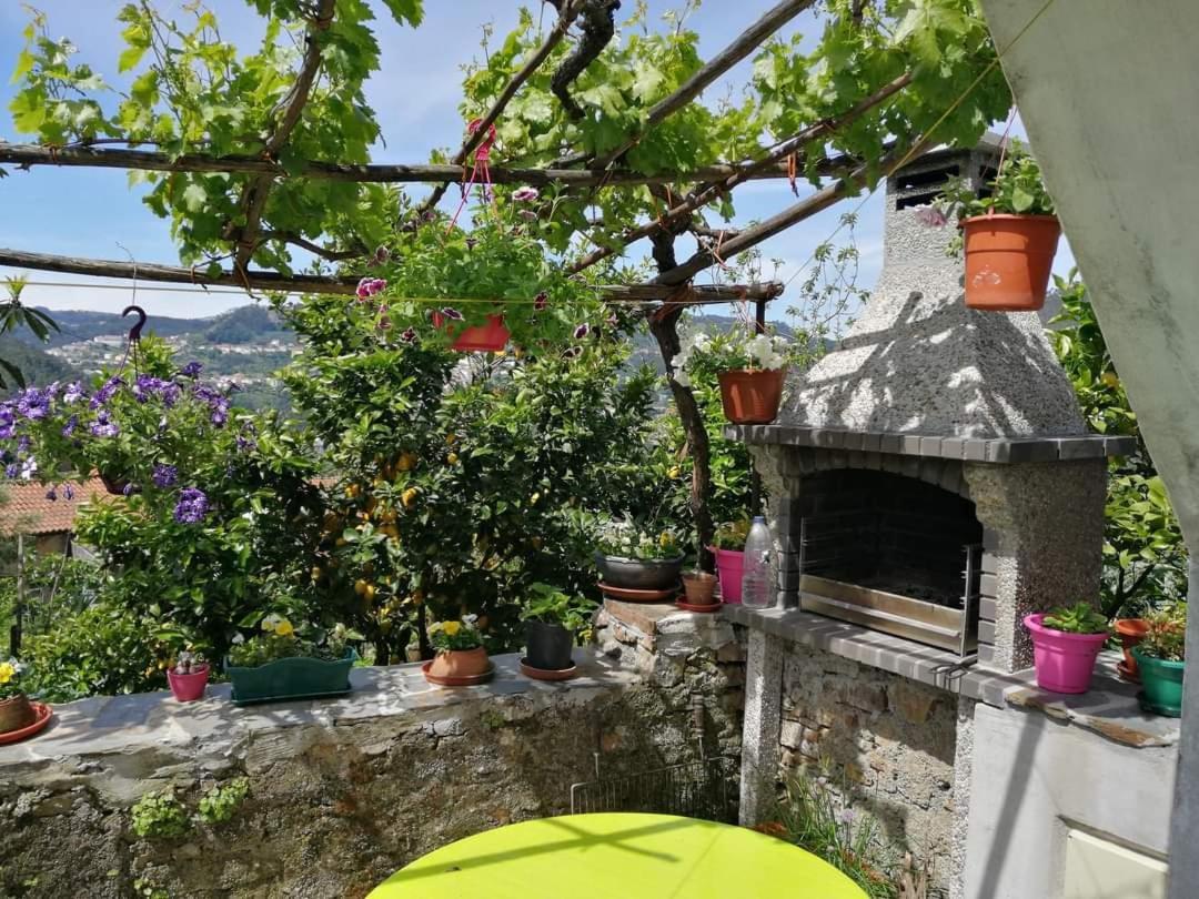 Casinha Da Sobreira Villa Penacova Eksteriør billede