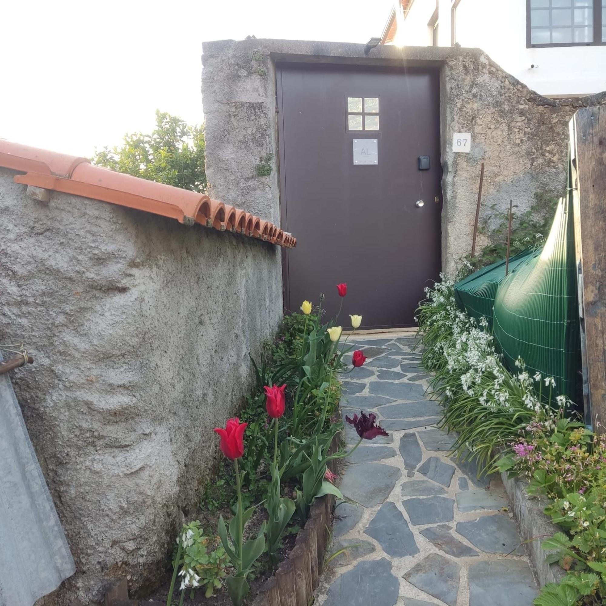 Casinha Da Sobreira Villa Penacova Eksteriør billede